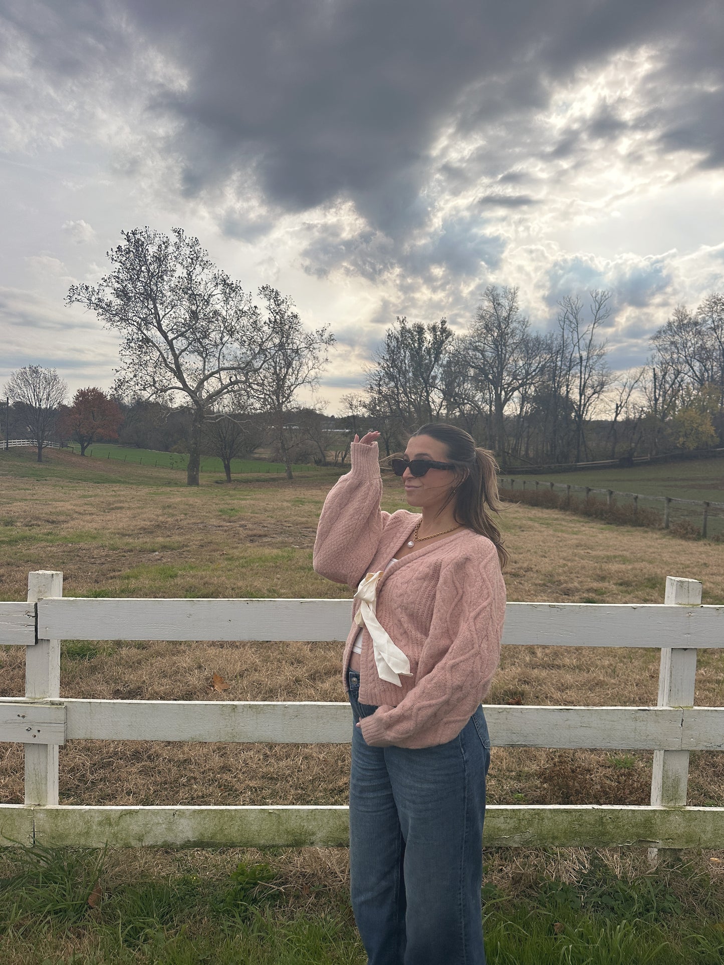 Sugar Plum Fairy Sweater